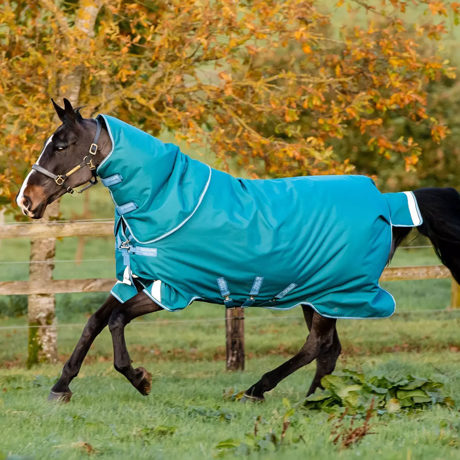 Amigo® Bravo 12 Plus 400G Heavy Turnout Blanket   FREE Custom Name Tag!